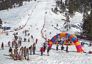 KULLU MANALI VOLVO TOUR PACKAGE