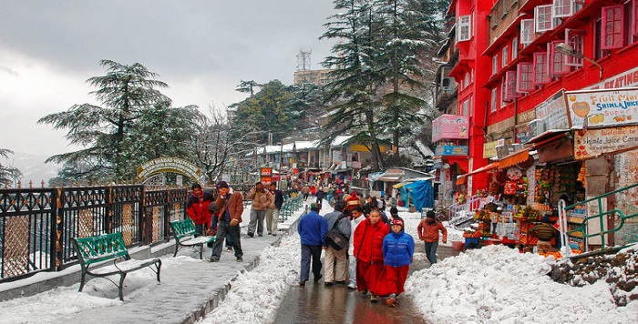 Shimla Tour Pacakge